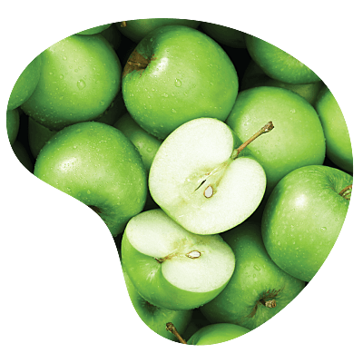 Appelboomgaard